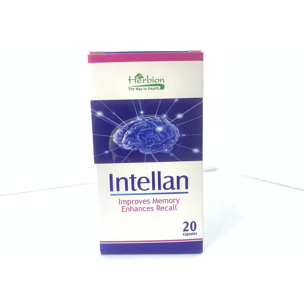 Интеллан №20