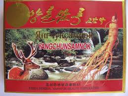 Янгчунсамнок №10